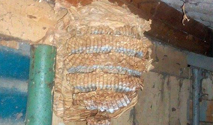 vatrogasni1
