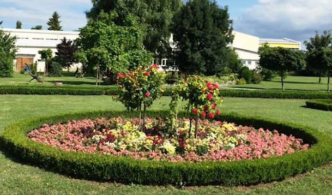 vrtovi