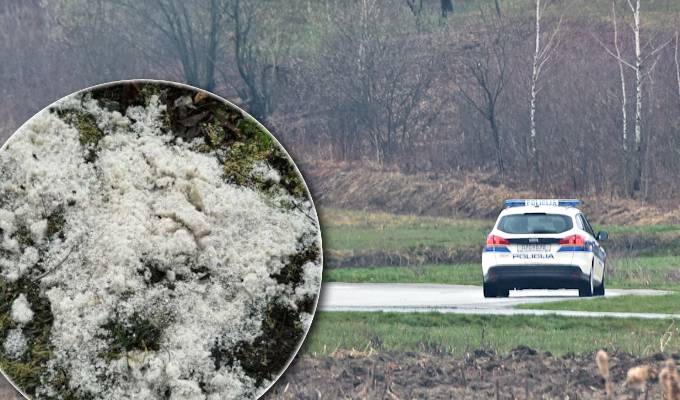 Tijekom jučerašnjeg dana i noći zaprimljeno je 45 dojava građana o pronalasku sumnjive tvari na ulicama i trgovima grada Osijeka i naselja Sarvaš, odnosno o uginulim ili omamljenim golubovima i uginuloj mački.