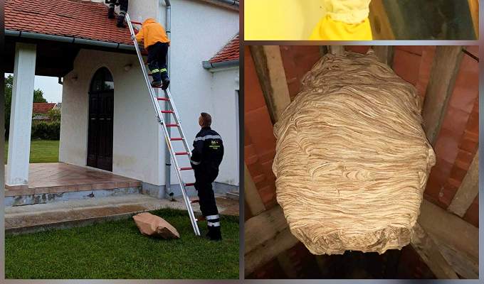 Vatrogasne intervencije na području grada Našica