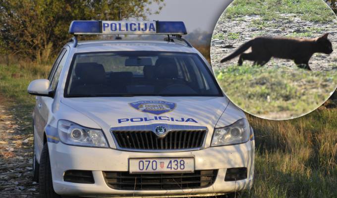 Sjekirom usmrtili mačku