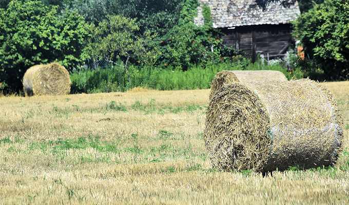 Potpora za sudjelovanje poljoprivrednika u sustavima kvalitete