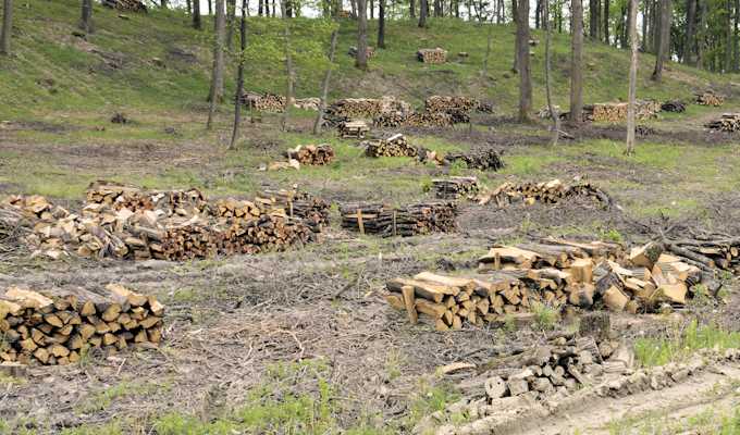 Obavijest o isplati pomoći za nabavu drva