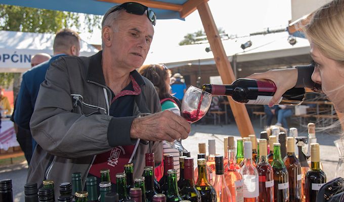 Održan 1. Festival Frankovke u Feričancima – Galerija