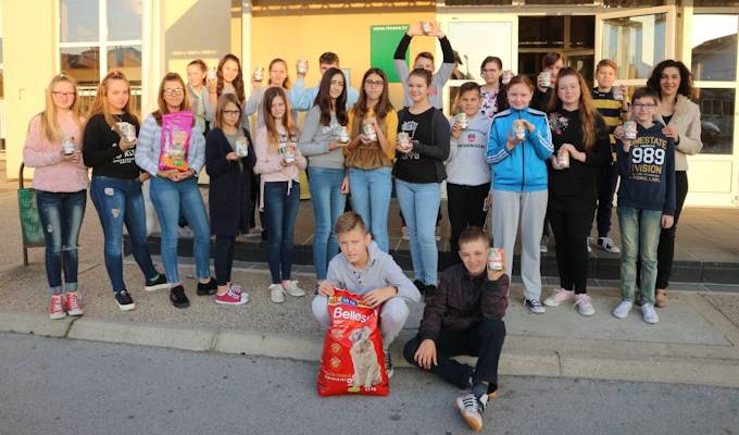 „Udruzi za zaštitu životinja NA 4 šape Našice“