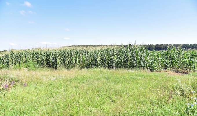 Osječko - baranjska županija dodjeljuje do 5 milijuna kuna za potpore poljoprivrednicima