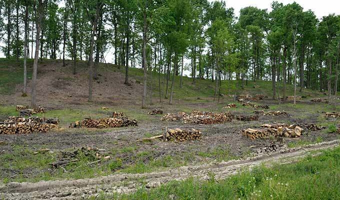 Objavljen javni poziv za dugogodišnji zakup državnog šumskog zemljišta